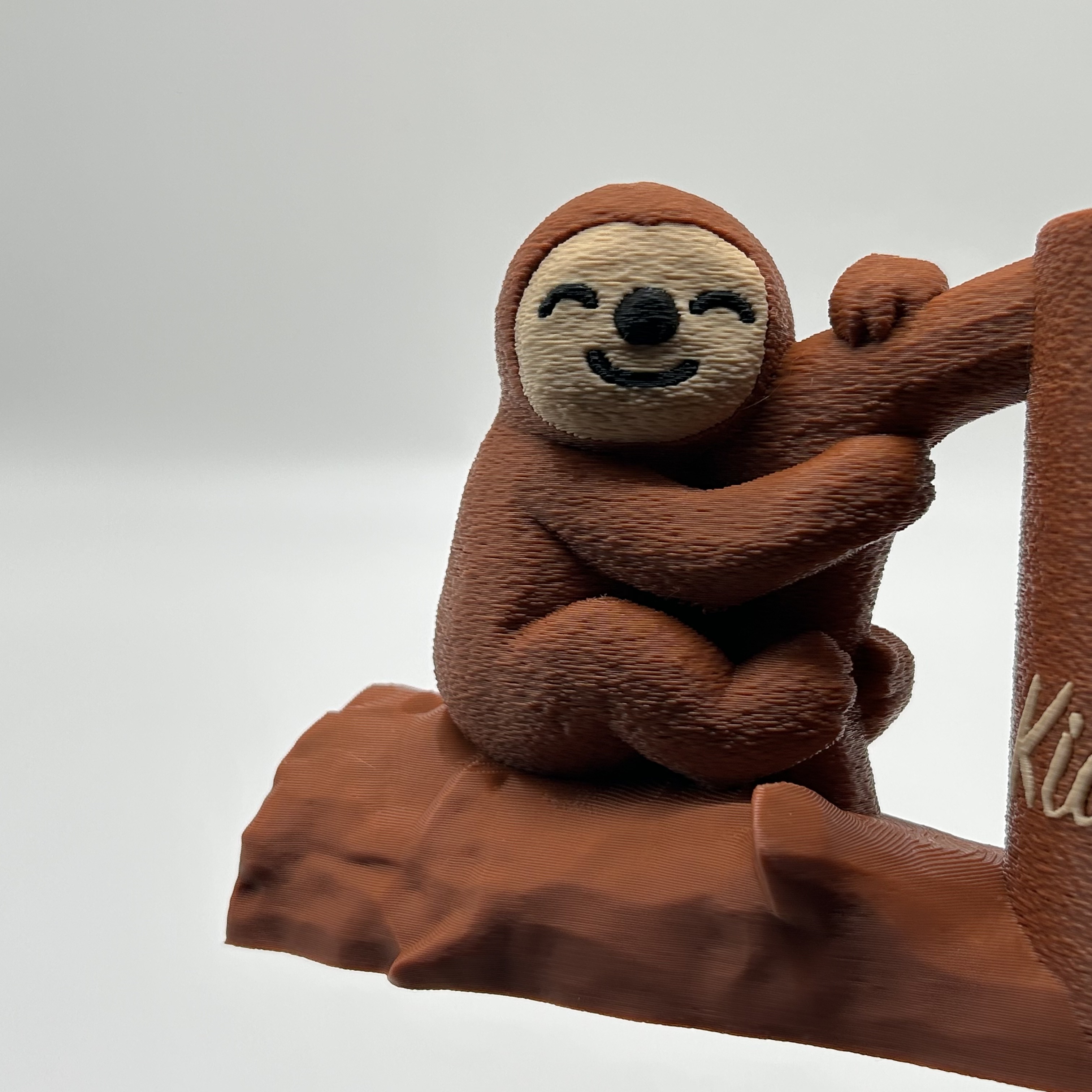 Stiftehalter Faultier Nahaufnahme Faultier auf Baumstamm